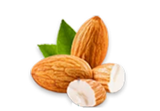 Almond


