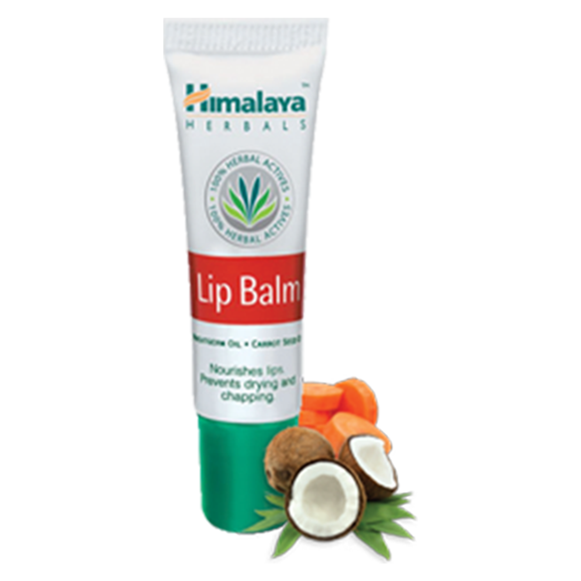 Lip Balm - Himalaya Wellness Philippines product image