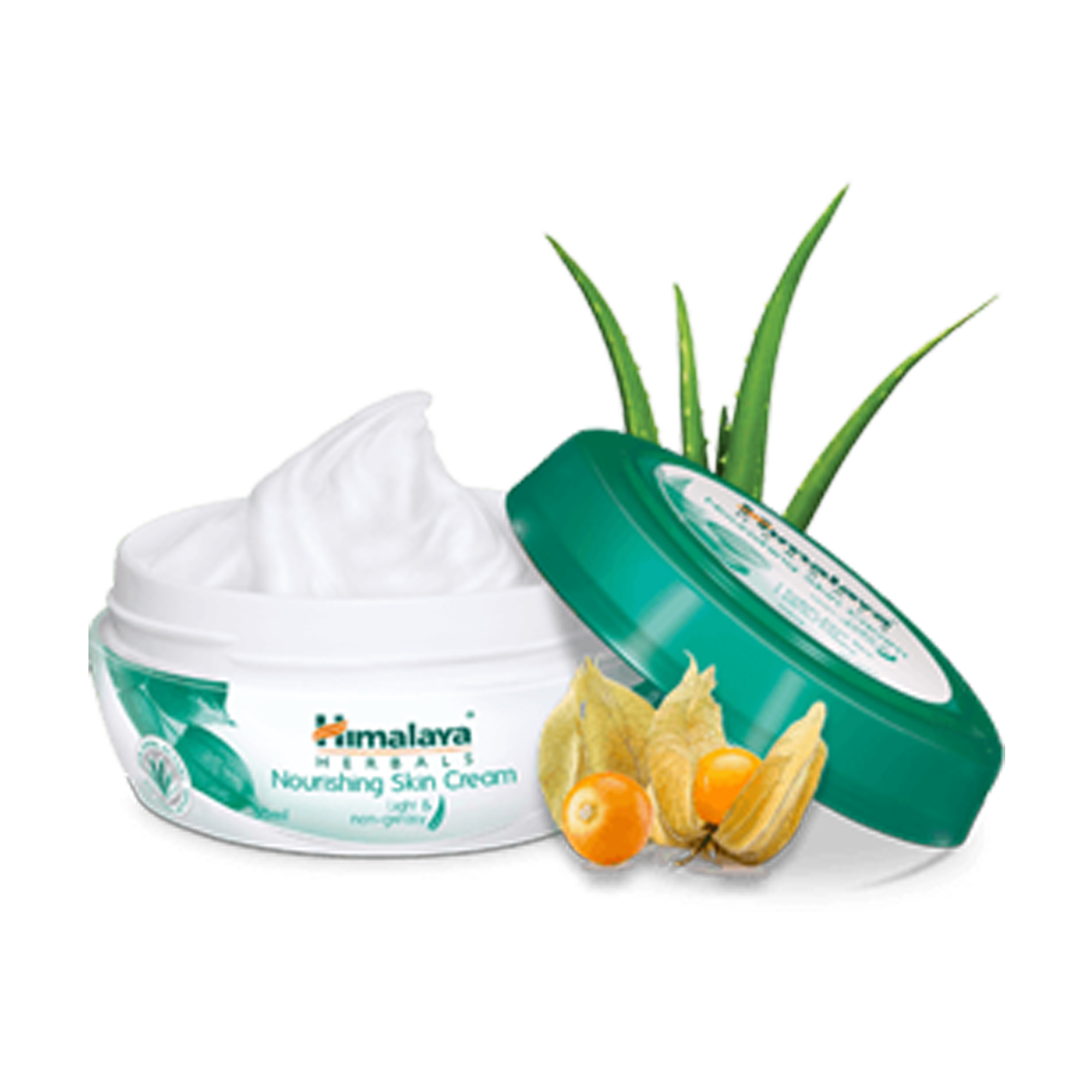 Nourishing Skin Cream - Himalaya Wellness Philippines product image