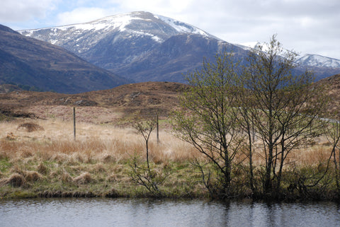 Scottish fishing pond located in the Scottish Highlands