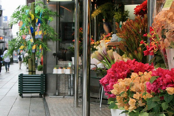 Flora Moments Factors Affecting Retail Prices