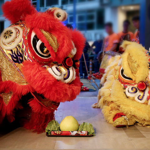 Grand-Opening-Flower-Stand-lion-dance-troupe-in-the-processing-of-dancing