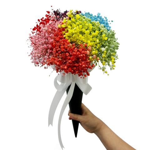 Mirag (Rainbow Baby's Breath) - Flora Moments Online Florist Singapore