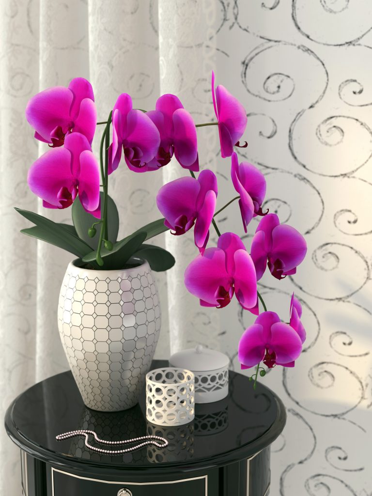 Pink orchid on the nightstand