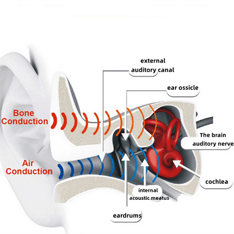 bone conduction