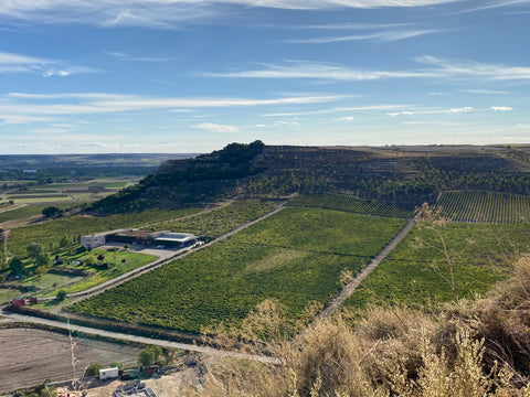 Ribera del Duero Wine