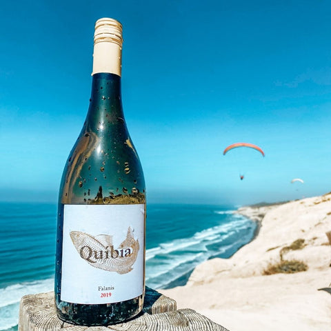 Quibia in San Diego beach