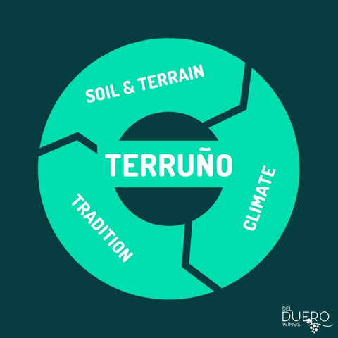Terruno_Spanish_Terroir