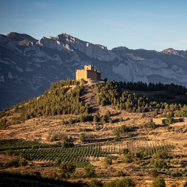la rioja vineyard and castle spanish wine