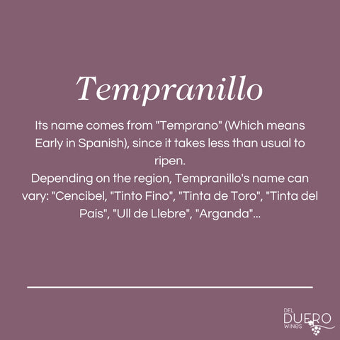 tempranillo grape spanish wine aroma flavor origin