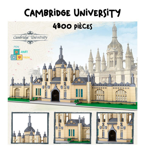 LEGO université de cambridge