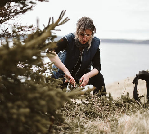 Emily, owner of Yorabode, trimming branches from a tree for her candle blend