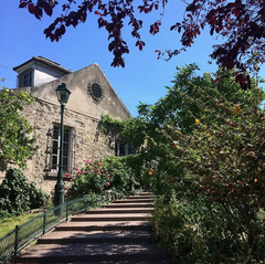 buisson montmartre petanque