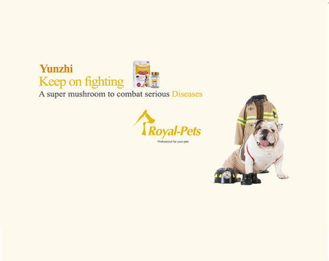 MAMA730 Royal-Pets 純正雲芝 80粒膠囊 Royal-Pets Yunzhi Extract 135mg 80 capsules