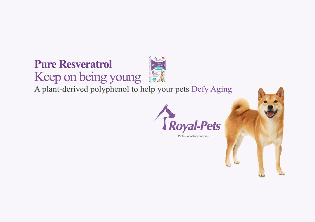 MAMA730 Royal-Pets 純正白藜蘆醇 60粒膠囊 Royal-Pets Pure Resveratrol 60 capsules