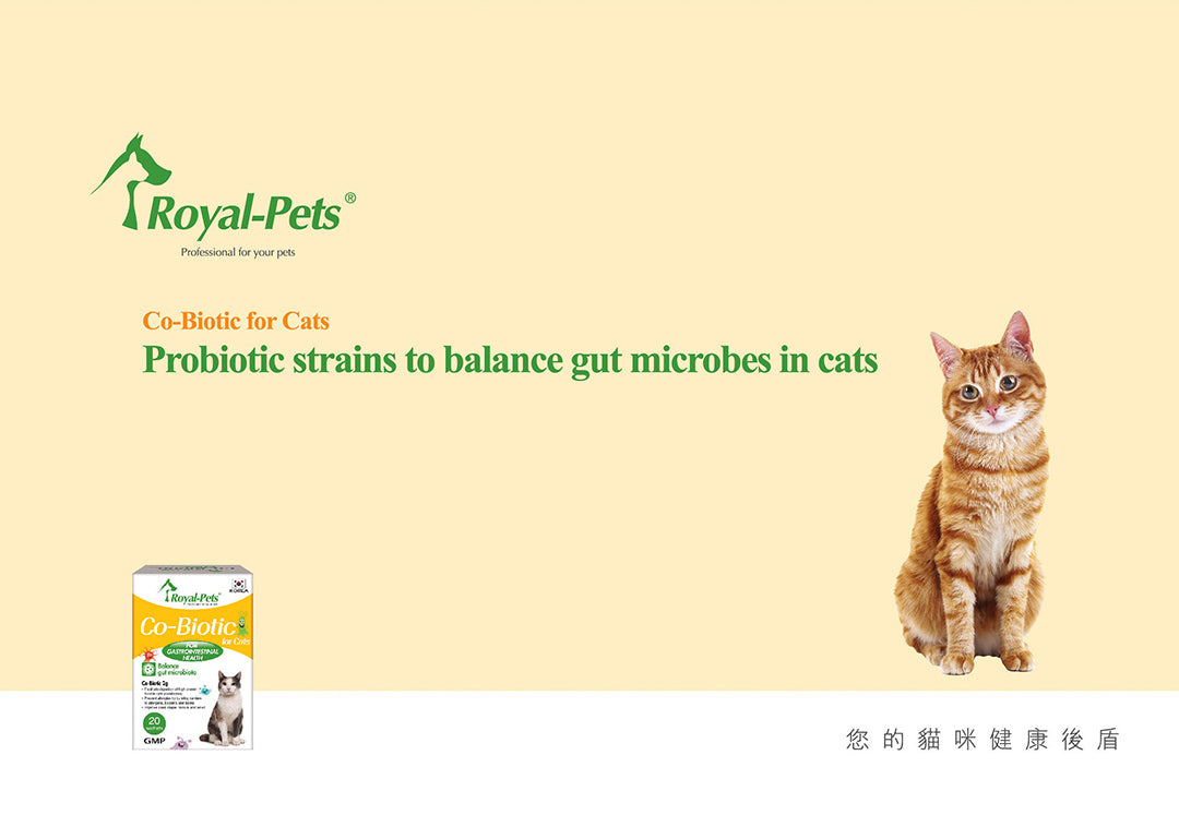 MAMA730 Royal-Pets Co-Biotic 貓用腸胃益生素 20小包 Royal-Pets Co-Biotic for Cats 20 sachets