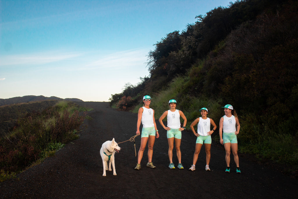4 speed project runners standing side by side with a white dog on a mountain trail in the early morning