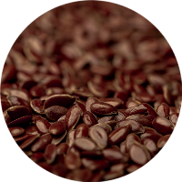 Organic Flax Seeds produc-jiwa