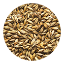 Organic Barley product-jiwa