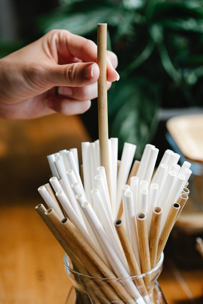 plant based living, plant based material straw and toothbrush. Sustainable living brand