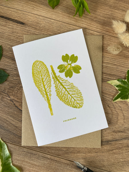 Primrose botanical greeting card