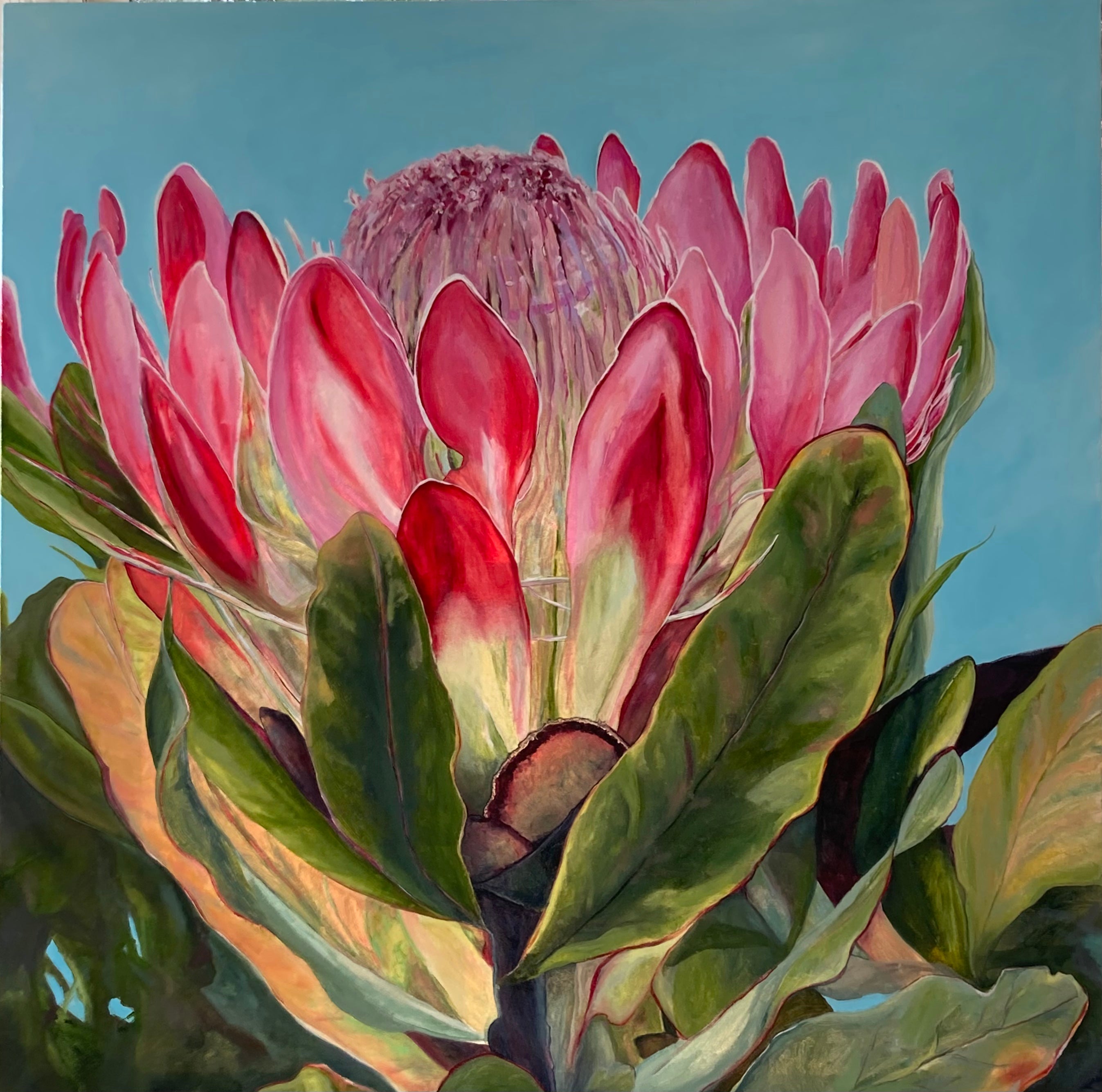 Tierney Miller - Protea – Bay School Community Arts Center