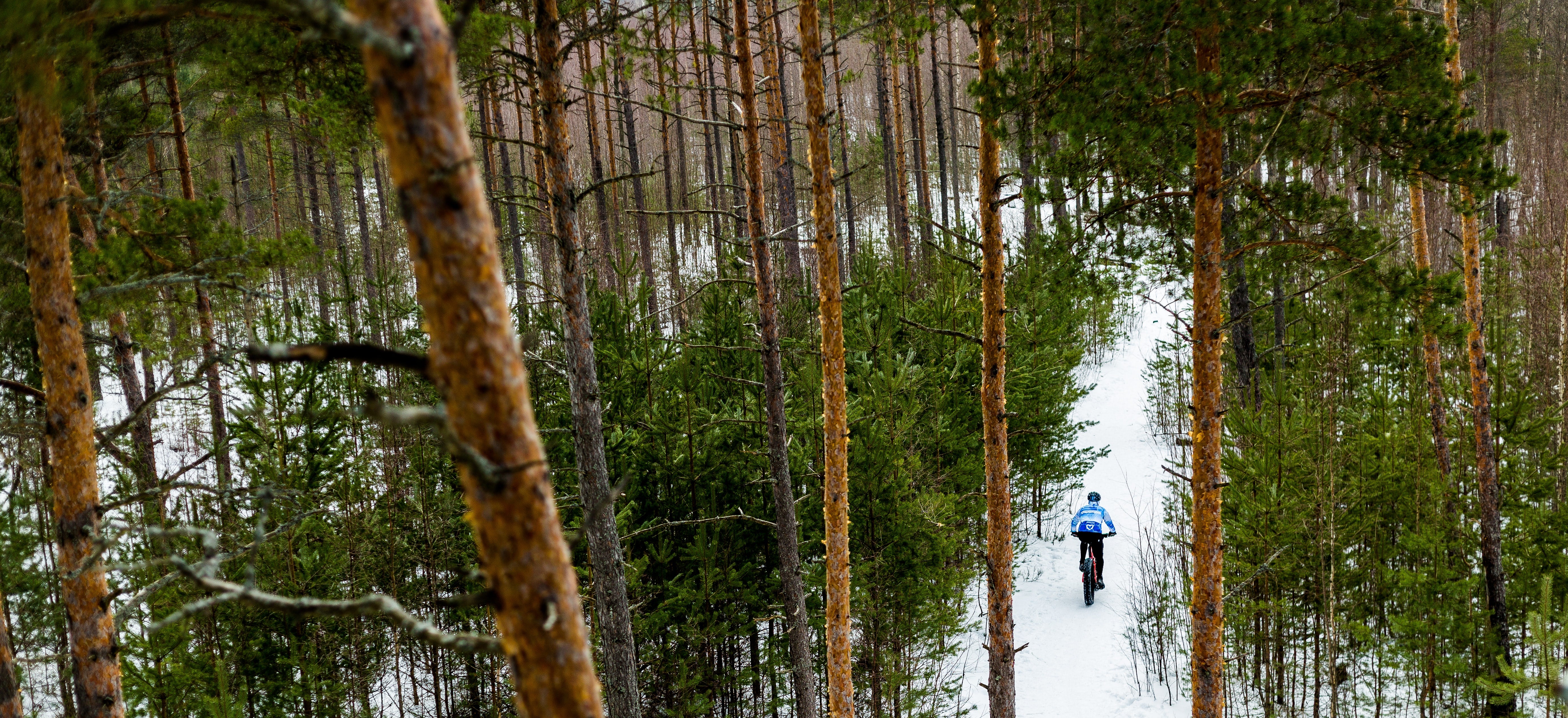 Trail Riding