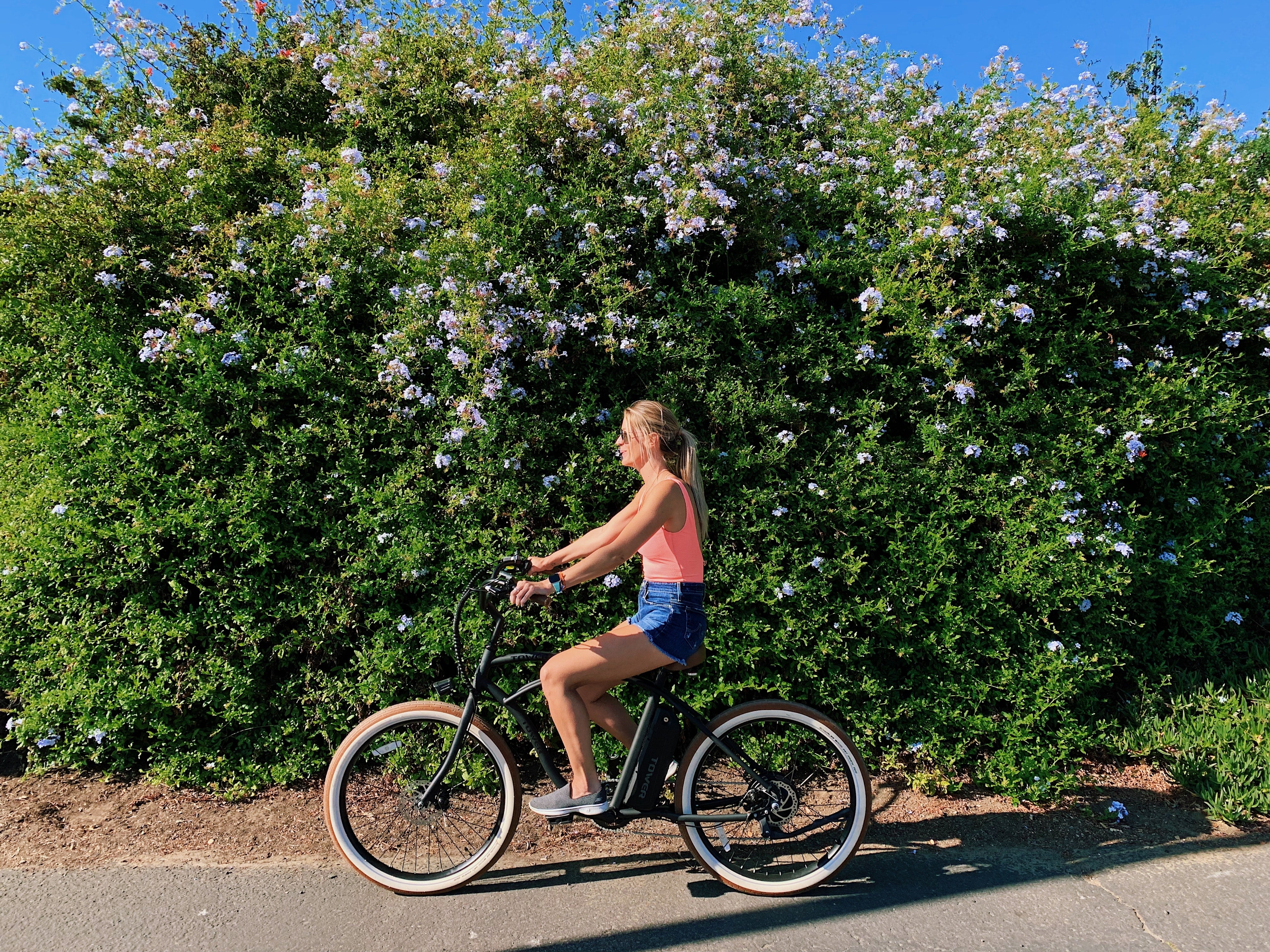 Electric Beach Cruiser