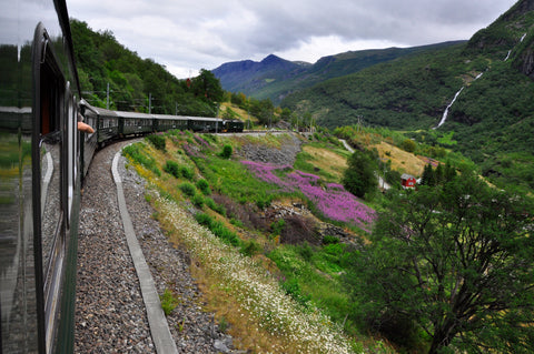 Chemin de fer de Flam, Norvège : de Myrdal à Flam