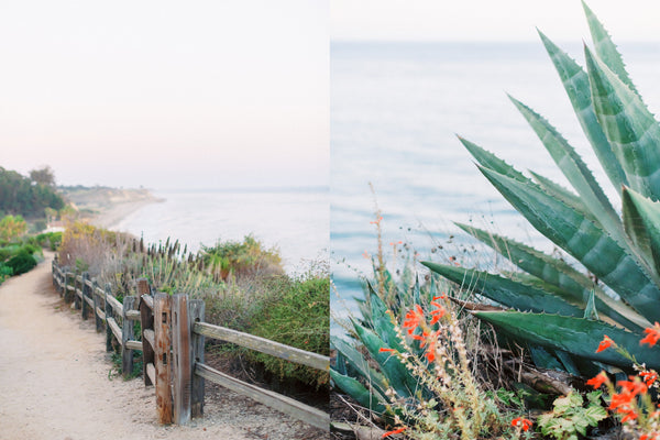 Gabrielle & Daniel - Wedding at The Ritz-Carlton Bacara, Santa Barbara | Tallulah Ketubahs