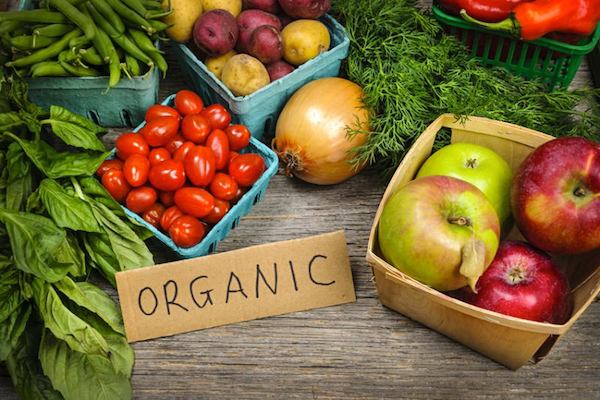 ayurvedic organic foods
