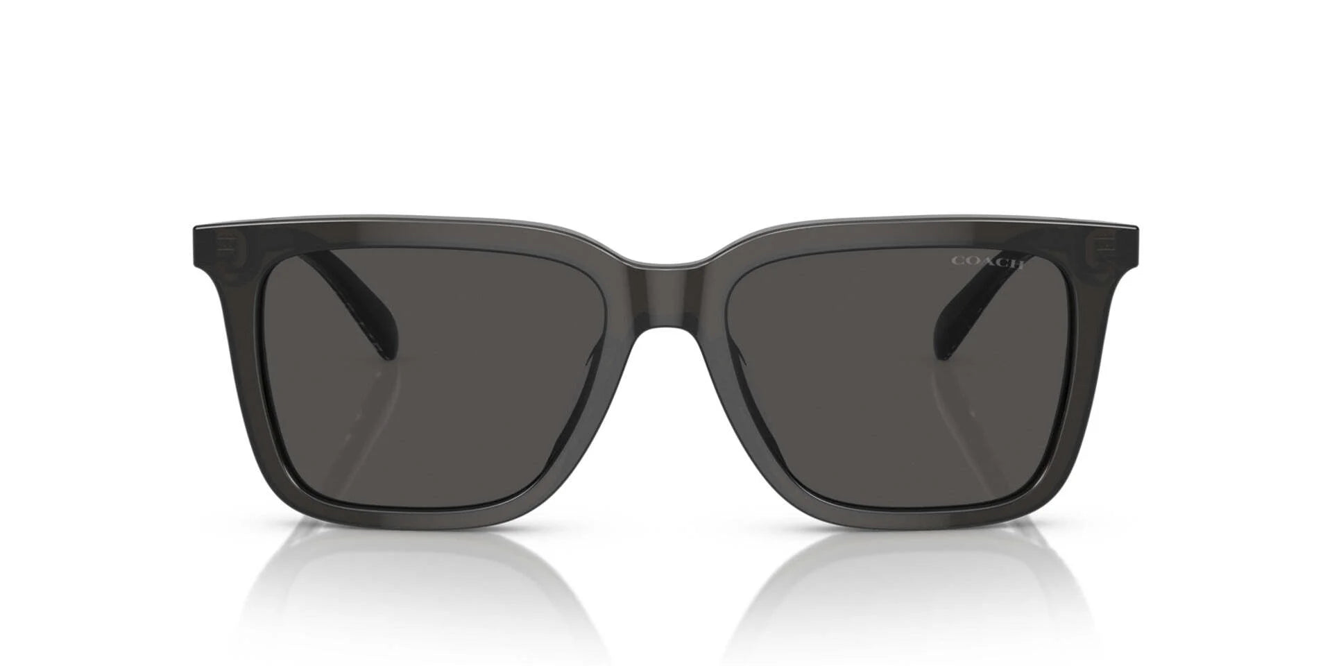 Coach CL916 HC8385U Sunglasses - Image 24