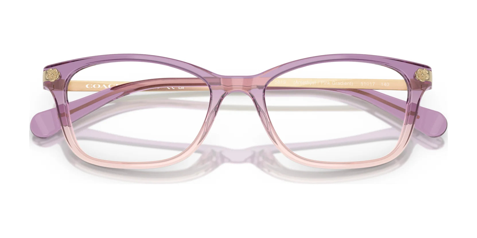 Coach HC6142 Eyeglasses | Size 51 - Image 5