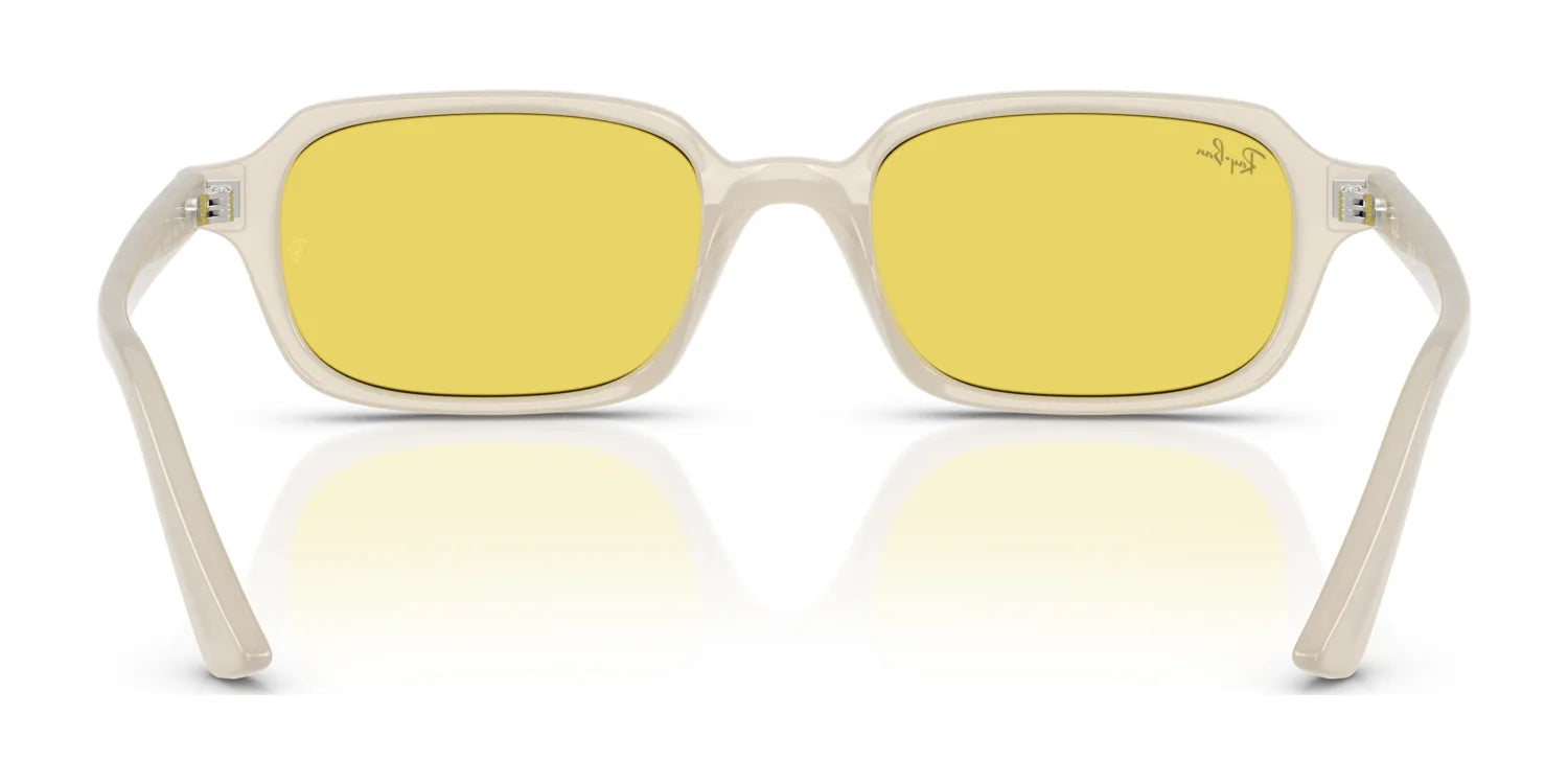 Ray-Ban ZURI RB4455 Sunglasses - Image 15