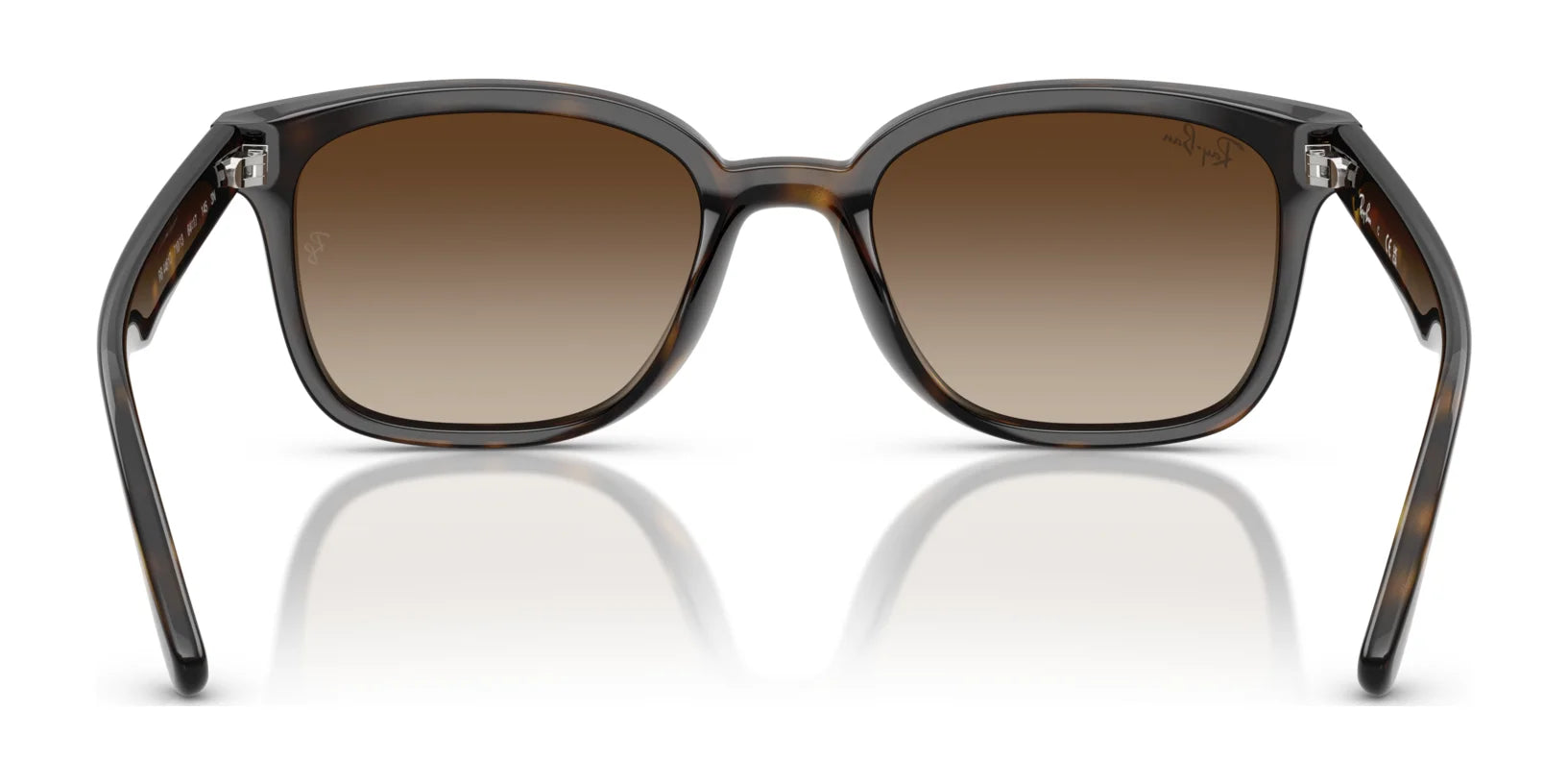 Ray-Ban RB4461D Sunglasses | Size 64 - Image 9