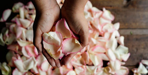 6 Fast & Easy Ways to Dry Rose Petals | FiftyFlowers