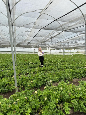 Liza Roeser in with shirt and black pants in a flower field green house