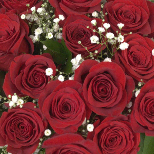 Buy Wholesale Red Rose Petals in Bulk - FiftyFlowers