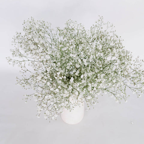 baby's breath bouquet in white vase