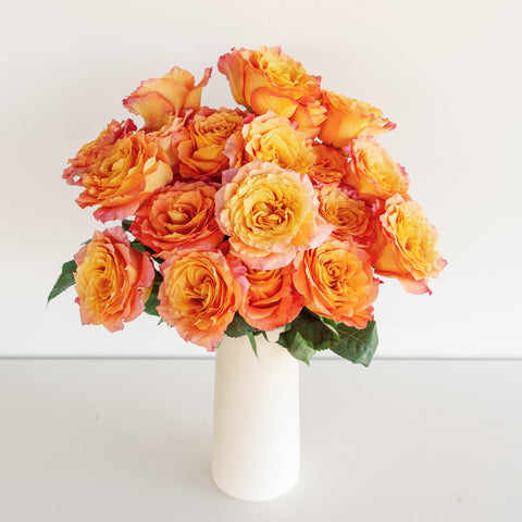 orange garden roses in a white vase