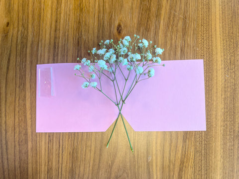 baby's breath on pink paper in the middle
