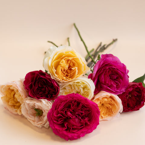 9 garden roses in a stack with pink, peach, and purple garden roses