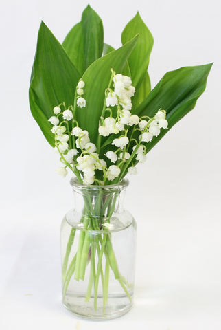 Lily of the valley in a bud vase