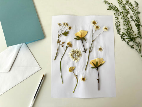 pressed yellow and green flowers on a white piece of paper