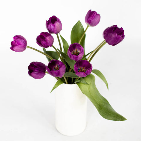 purple bulk fresh tulips in a white vase