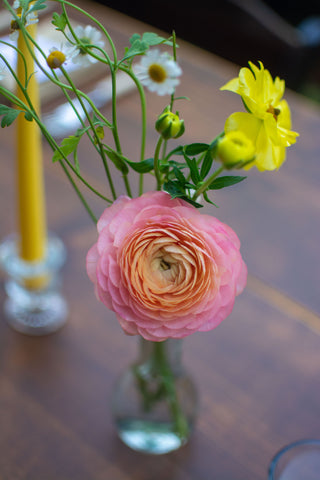 bud vase with pink ranunculus and yellow butterfly ranunculus