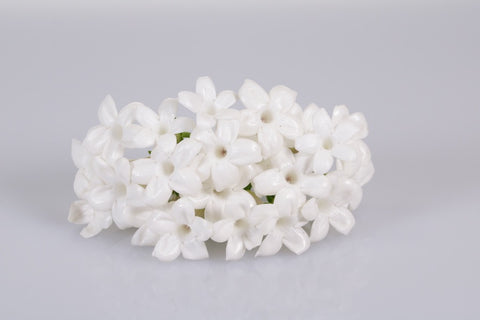 Dainty white filler flower Stephanotis