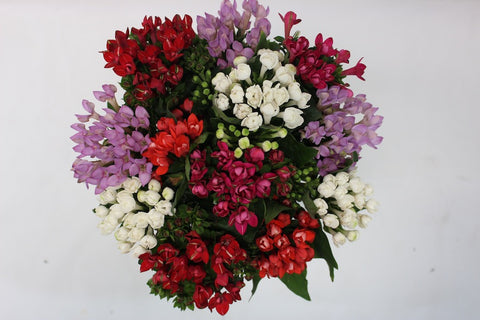 Bouvardia filler flowers in assorted colors