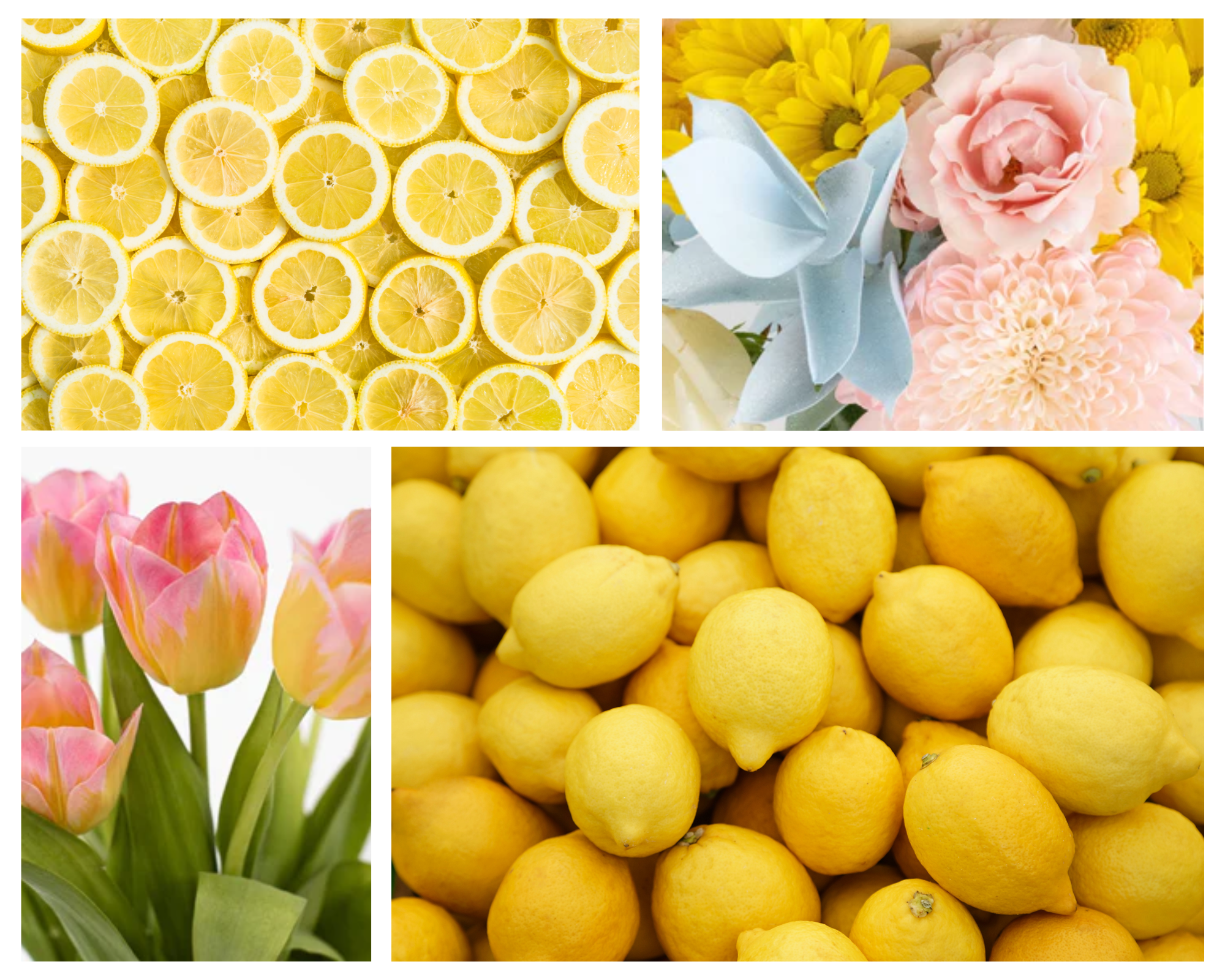 Lemons and flowers