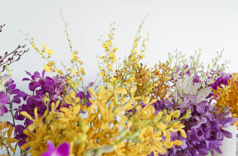 a variety of orange, purple, pink, and white orchid bunches